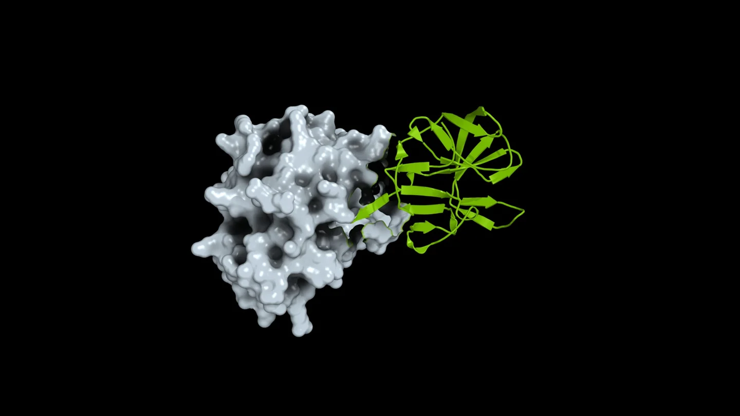Molecular structure beside a green geometric representation.